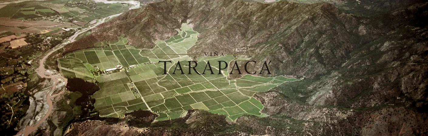 Luftfoto af vinmarker og dalen omkring vinhuset Viña Tarapacá i Chile, omgivet af bjerge og flodløb