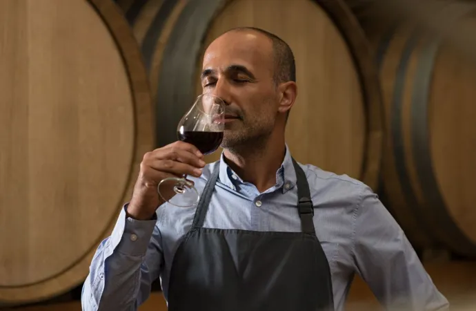 Lær Vinens Kunst Som En Professionel