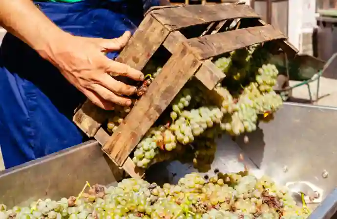 Hdivdin Jord Til Bord