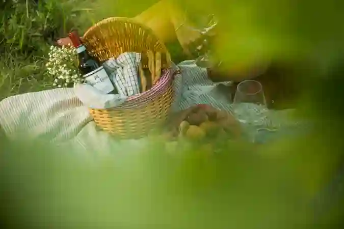 VINEYARDS MONTRESOR 9