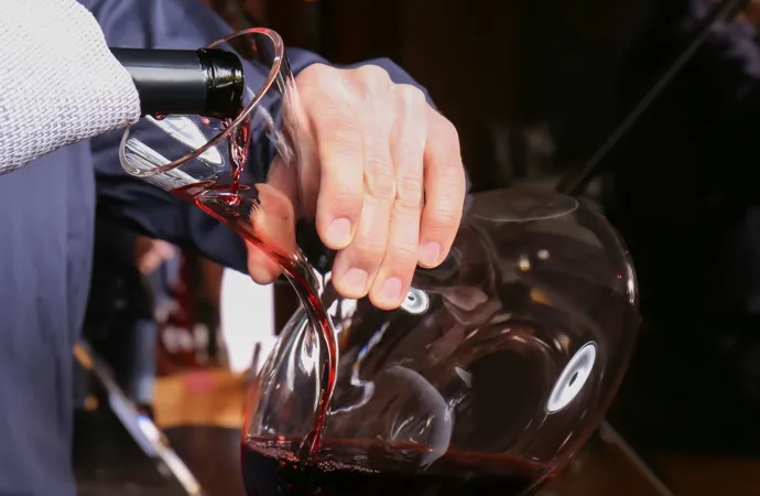 Dekantering Og Servering Af Vin Spot Elementer OD