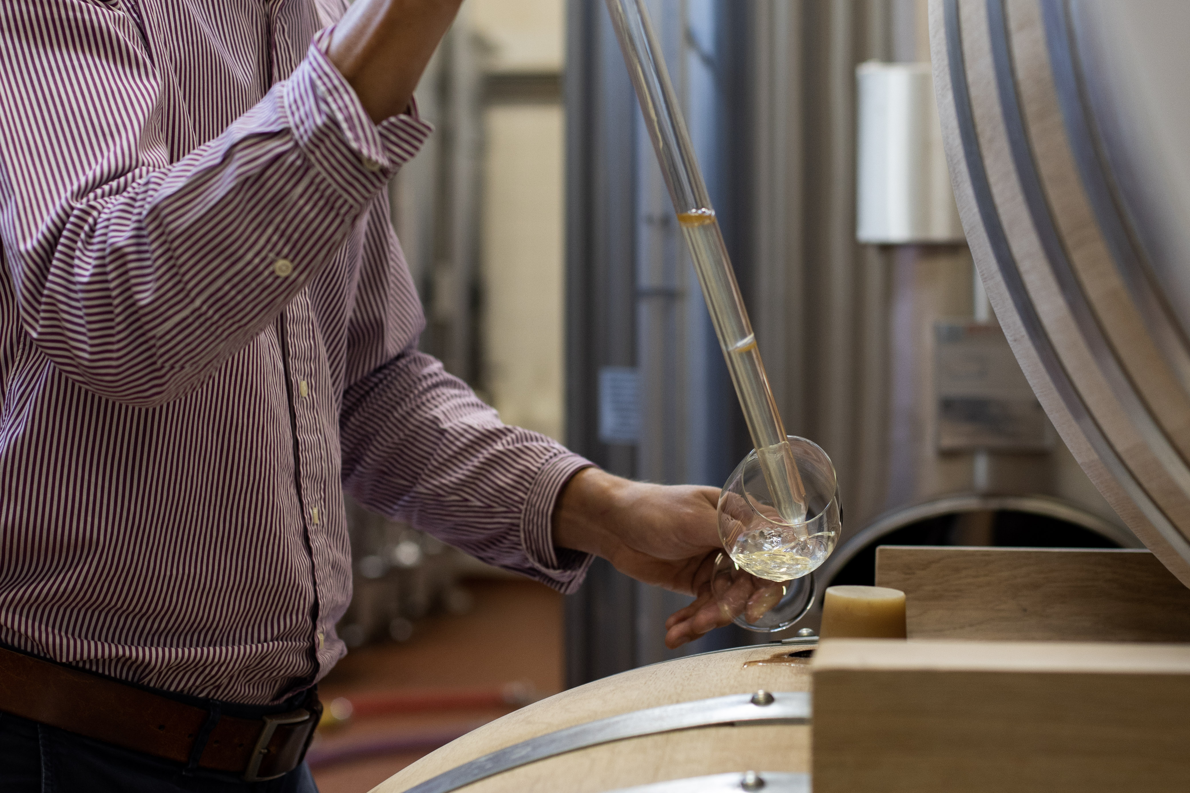 Champagne BDR Winery (3)