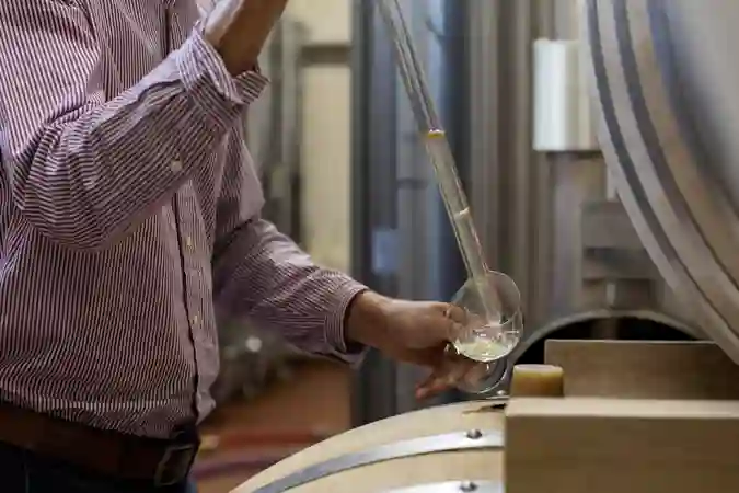 Champagne BDR Winery (3)