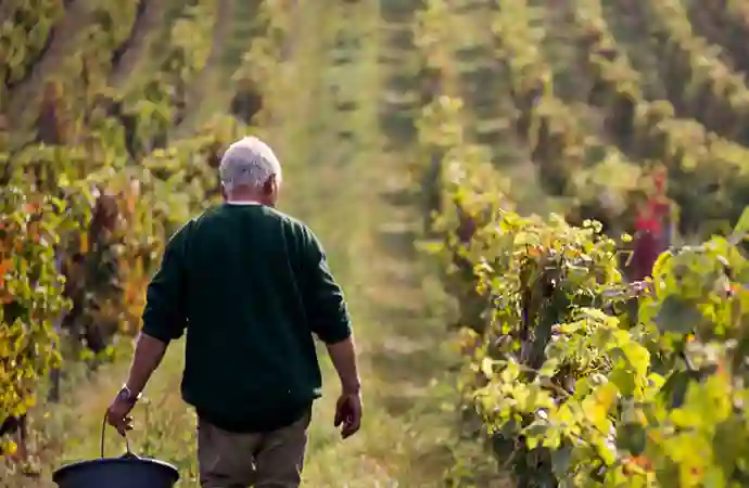 TW Frontpagebilleder 2024 2