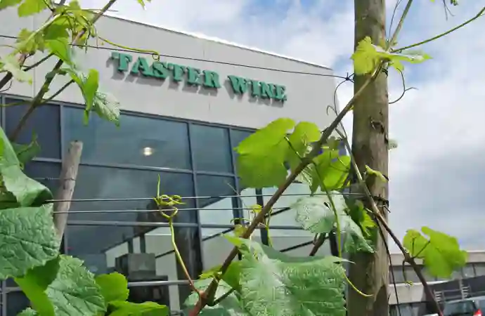 Taster Wine Facade