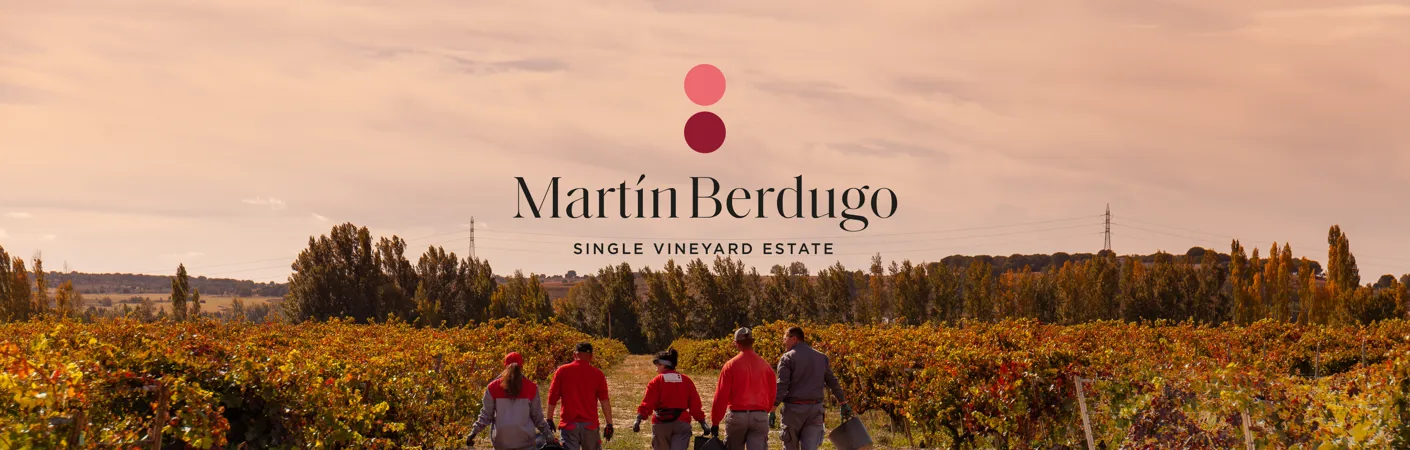 Personer går gennem vinmarker tilhørende vinhuset Martín Berdugo