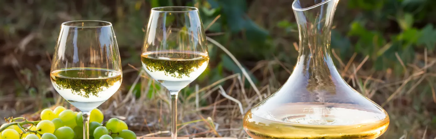 Sancerre i vinglas og karaffel med grønne druer i baggrunden